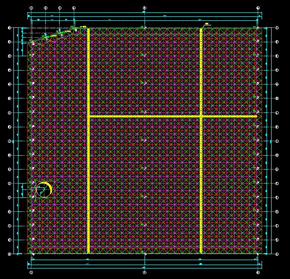 黄骅东营金岭化工大王煤棚网架